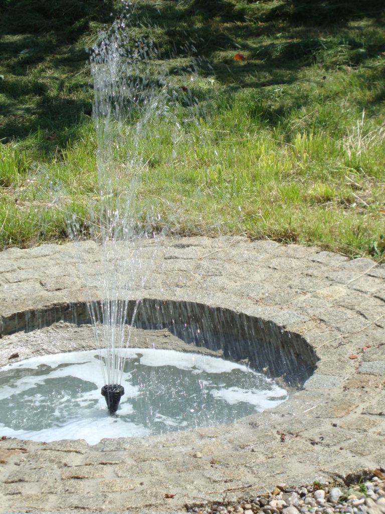 DSC00844