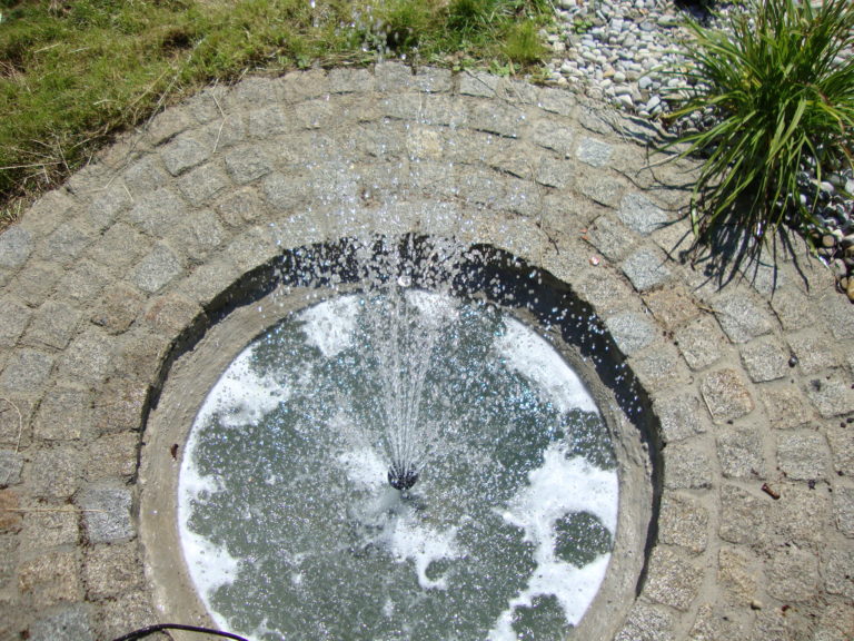 DSC00848